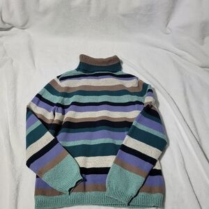 Northern Reflections Teal and Purple Striped Turtleneck Sweater